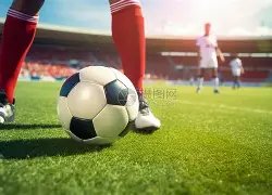 顺网科技迎,来兴全,天弘等机构,大发彩票,大发彩票官方网站,大发彩票APP,实时开奖,知识竞猜