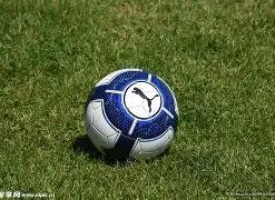 风起彩市,双色球,期篮球精选,大发彩票,大发彩票官方网站,大发彩票APP,实时开奖,知识竞猜