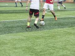 独家揭秘,期青云大乐,预测大放异,大发彩票,大发彩票官方网站,大发彩票APP,实时开奖,知识竞猜