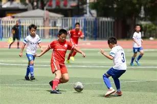 金桔盛放,排列,期数,大发彩票,大发彩票官方网站,大发彩票APP,实时开奖,知识竞猜