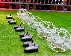 热辣预测,彩民必看,独家专家精,大发彩票,大发彩票官方网站,大发彩票APP,实时开奖,知识竞猜