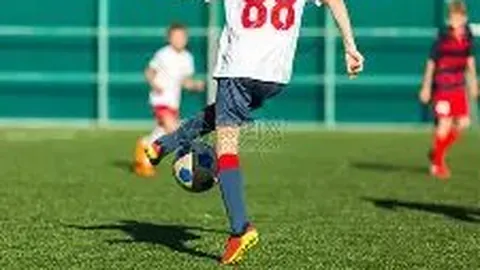 大发彩票 资讯 171518 ncp