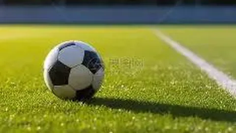 【双色球26010期独家攻略】红球金码精准解析，锁定绝杀蓝球：02、04、08，中奖必看！